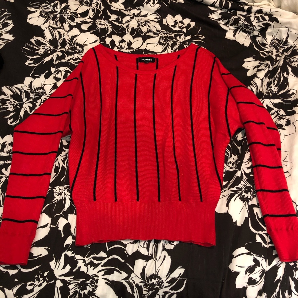 Express Sweater
